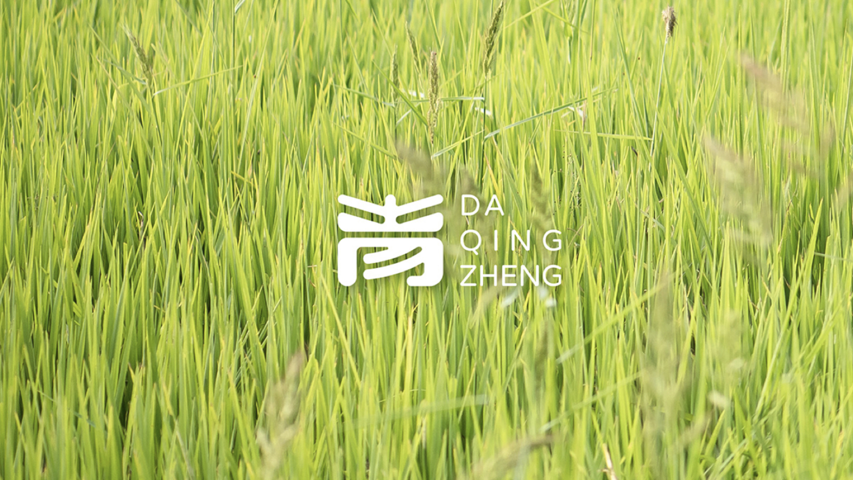 農(nóng)業(yè)vi設(shè)計.jpg 農(nóng)業(yè)vi設(shè)計.jpg