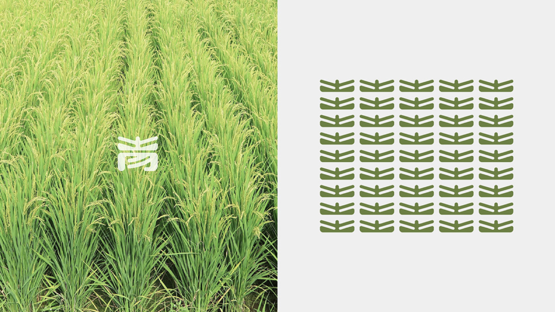 農(nóng)產(chǎn)品vi設(shè)計.jpg 農(nóng)產(chǎn)品vi設(shè)計.jpg